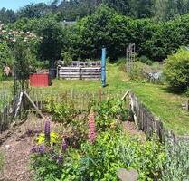Modernisiertes Einfamilienhaus mit ELW und großzügiger Scheune - Wald-Michelbach