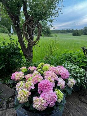 Foto - Doppelhaushälfte in Seefeld zur Miete