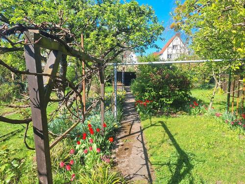 Foto - Doppelhaushälfte in Magdeburg zum Kaufen