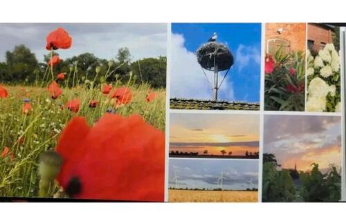 Foto - andere in Pritzwalk zur Miete