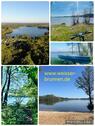 Foto - Camping Grundstück in Wittenborn (Schleswig-Holstein)