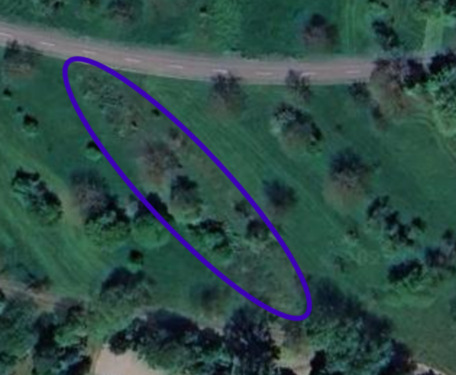 Foto - ObstwieseAcker zu verpachten – 959 m² in Gaggenau-Oberweier