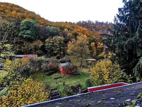Foto - großes helles WG zimmer im Grünen in Tharandt