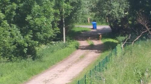 Foto - 2 Zimmer Erdgeschoßwohnung in Klütz