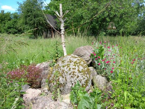 Foto - Erdgeschoßwohnung in Klütz zur Miete