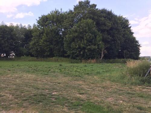 Foto - Freizeitgrundstück naturnah in Ostseenähe zur Pacht