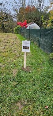 Foto - garten esslingen - 5.000,00&nbsp;EUR Kaltmiete, ca.&nbsp; 0,00&nbsp;m&sup2;