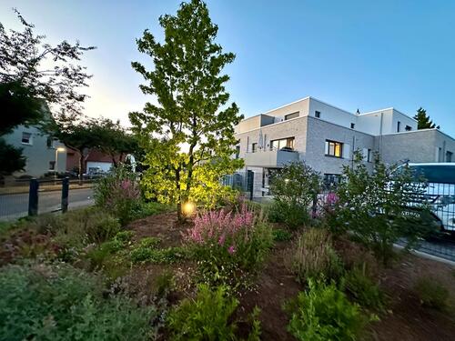 Foto - Steinhude Terrassenwohnung 3-Zimmer ab 0226