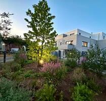 Steinhude Terrassenwohnung 3-Zimmer ab 0226 - Wunstorf