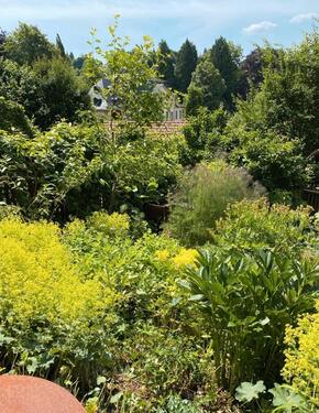 Foto - Grundst&uuml;ck zur Miete in Bad Liebenstein