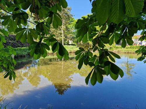 Foto - andere zur Miete in Scharbeutz