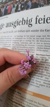 Foto - andere in Gemmingen