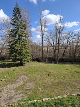 Foto - 2 Zimmer Erdgeschoßwohnung in Teutschenthal