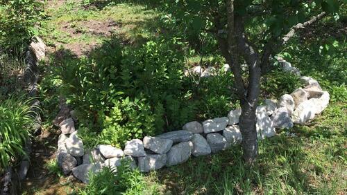 Foto - Grundst&uuml;ck in Jena zur Miete