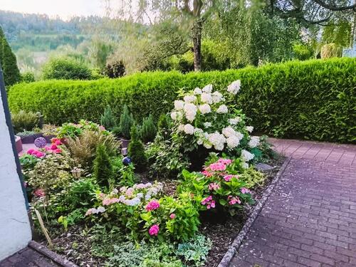 Foto - Einfamilienhaus zum Kaufen in Greding