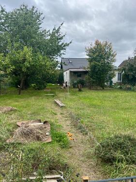 Foto - Kleingarten im Gartenverein in Templin - Schrebergarten -