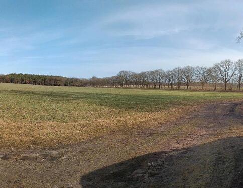 Foto - Traum vom Pferd am Haus, Einfamilienhaus