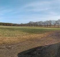 Traum vom Pferd am Haus, Einfamilienhaus - Wittstock/Dosse