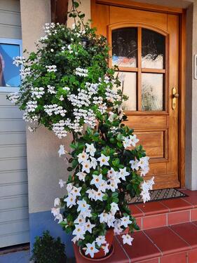 Foto - Schöne 4-Zimmer Maisonette-Wohnung in Oberhaid (2 Balkone+Garage)