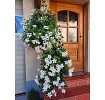 Schöne 4-Zimmer Maisonette-Wohnung in Oberhaid (2 Balkone+Garage)