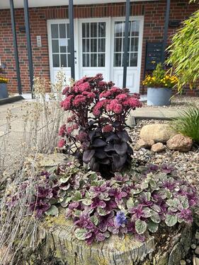 Foto - Etagenwohnung in Schortens zur Miete