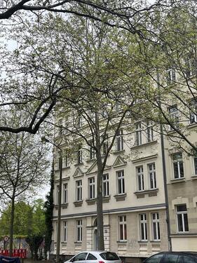 Foto - 3 Zimmer Etagenwohnung zur Miete in Leipzig
