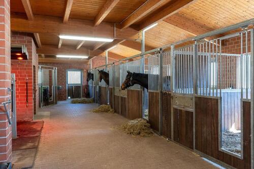 Foto - 