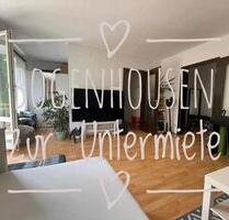1.5-Zimmer Wohnung in Bogenhousen für 6 Monaten untermiete - München Bogenhausen