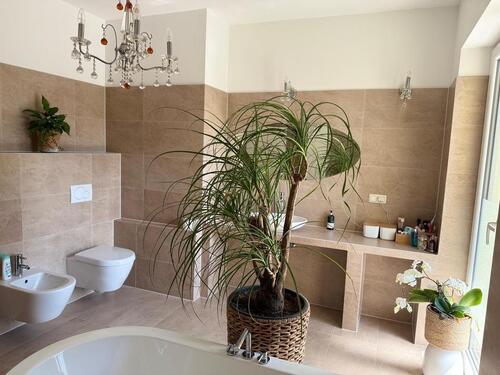 Foto - Etagenwohnung in Duisburg zur Miete