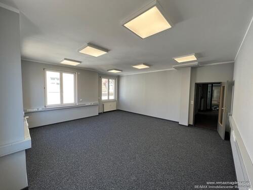 Foto - andere in Haldensleben