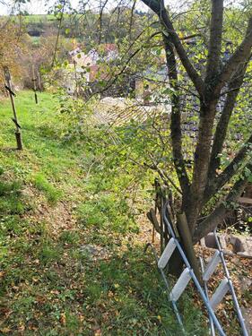 Foto - 3 Zimmer Einfamilienhaus in Querfurt