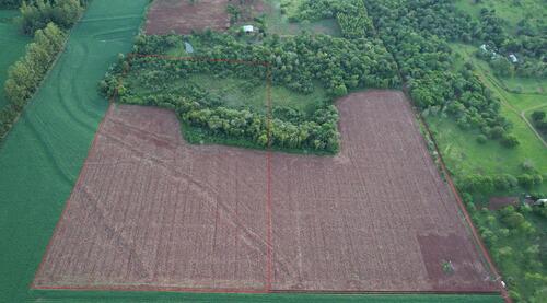 Foto - andere in Senden