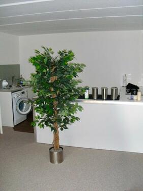 Foto - Etagenwohnung in Kiel zur Miete