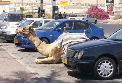 Foto - andere in Collenberg