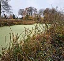 Fischteich - 300,00 EUR Kaltmiete, ca.  0,00 m² in Gerdau (PLZ: 29581)