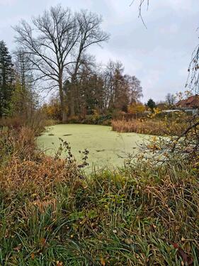 Foto - Grundstück zur Miete in Gerdau
