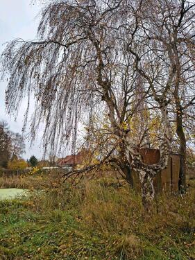 Foto - Grundstück in Gerdau
