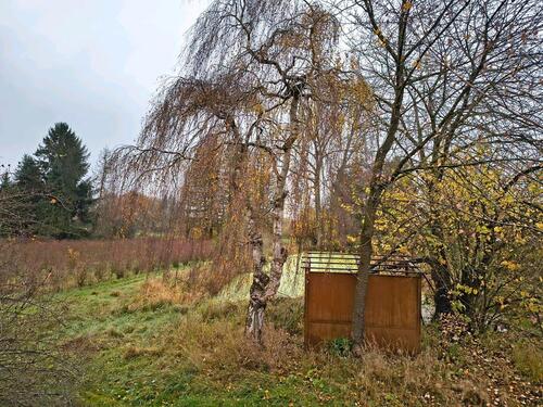 Foto - Grundstück in Gerdau zur Miete