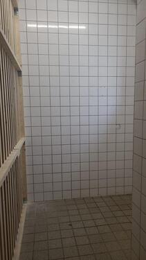 Foto - andere in Grafenau