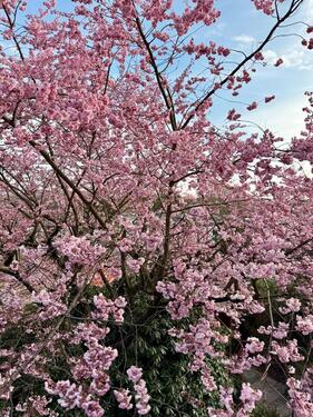 Foto - 3 Zimmer Dachgeschoßwohnung in Wuppertal