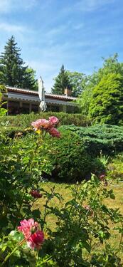 Foto - Freistehendes Einfamilienhaus Bungalow-Stil