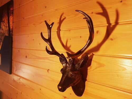 Foto - andere in Oberharz am Brocken zur Miete