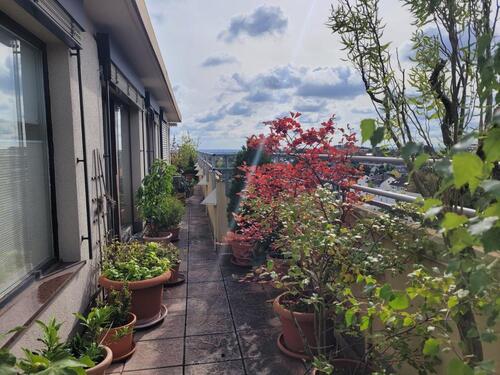 Foto - 4 Zimmer Einfamilienhaus zum Kaufen in Bad Soden am Taunus