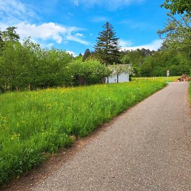 Foto - 5 Zimmer Einfamilienhaus in Neckarsteinach
