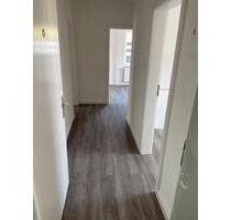 Sanierte 3 Zimmer EG Wohnung (62m2) mit Balkon - Walsrode