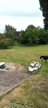 Foto - Einfamilienhaus in Nahe zum Kaufen