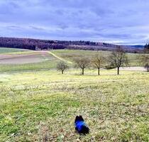 3-Zimmerwohnung mit Terrasse für die ganze Familie incl. Haustier - Kraichtal