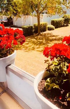 Foto - 2 Zimmer Erdgeschoßwohnung zum Kaufen in Bad Kreuznach