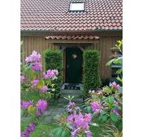 Doppelhaushälfte zur Miete, Junges Wohnen auf historischem Hof - Wietzendorf