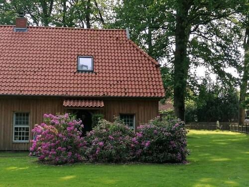 Foto - 3 Zimmer Doppelhaushälfte zur Miete in Wietzendorf
